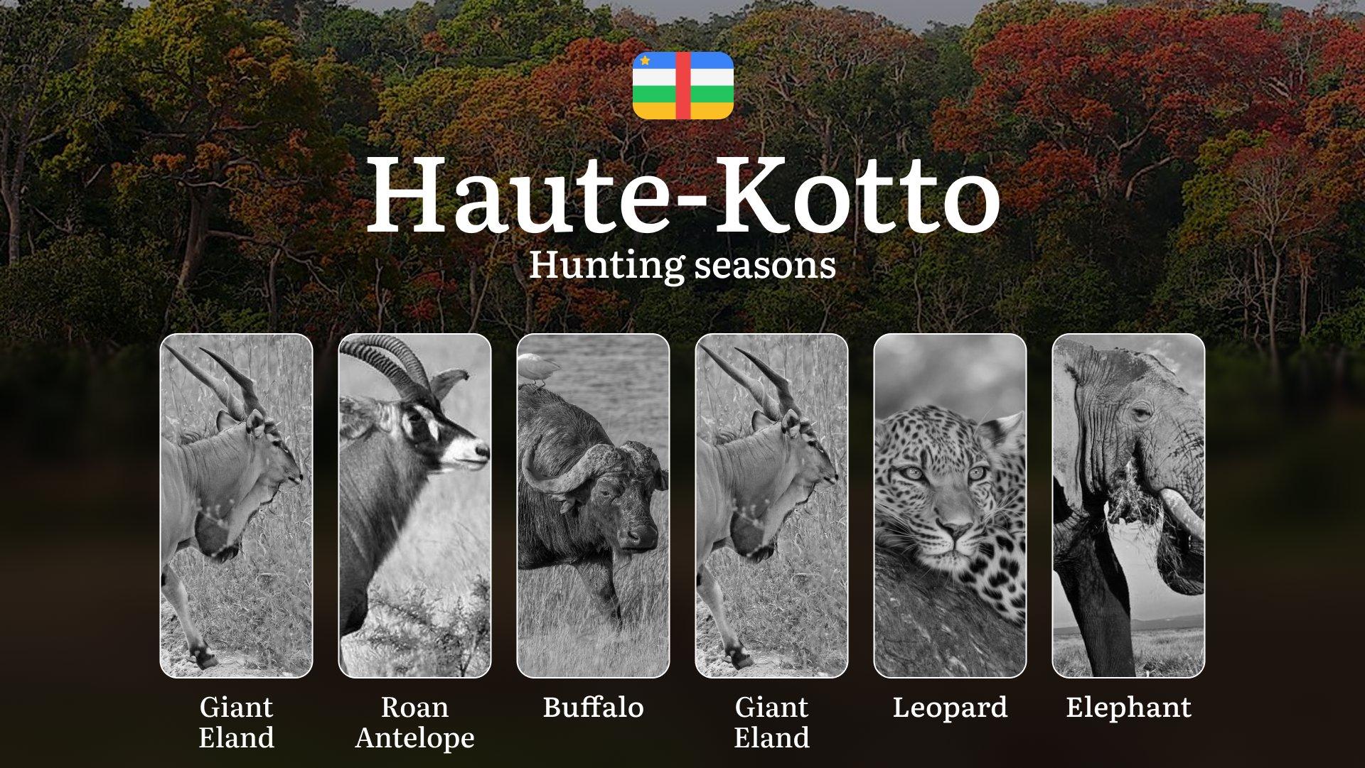 Hunting in Haute-Kotto: Understanding Hunting Calendar, Legal Permits and Restrictions, Local Hunting Traditions