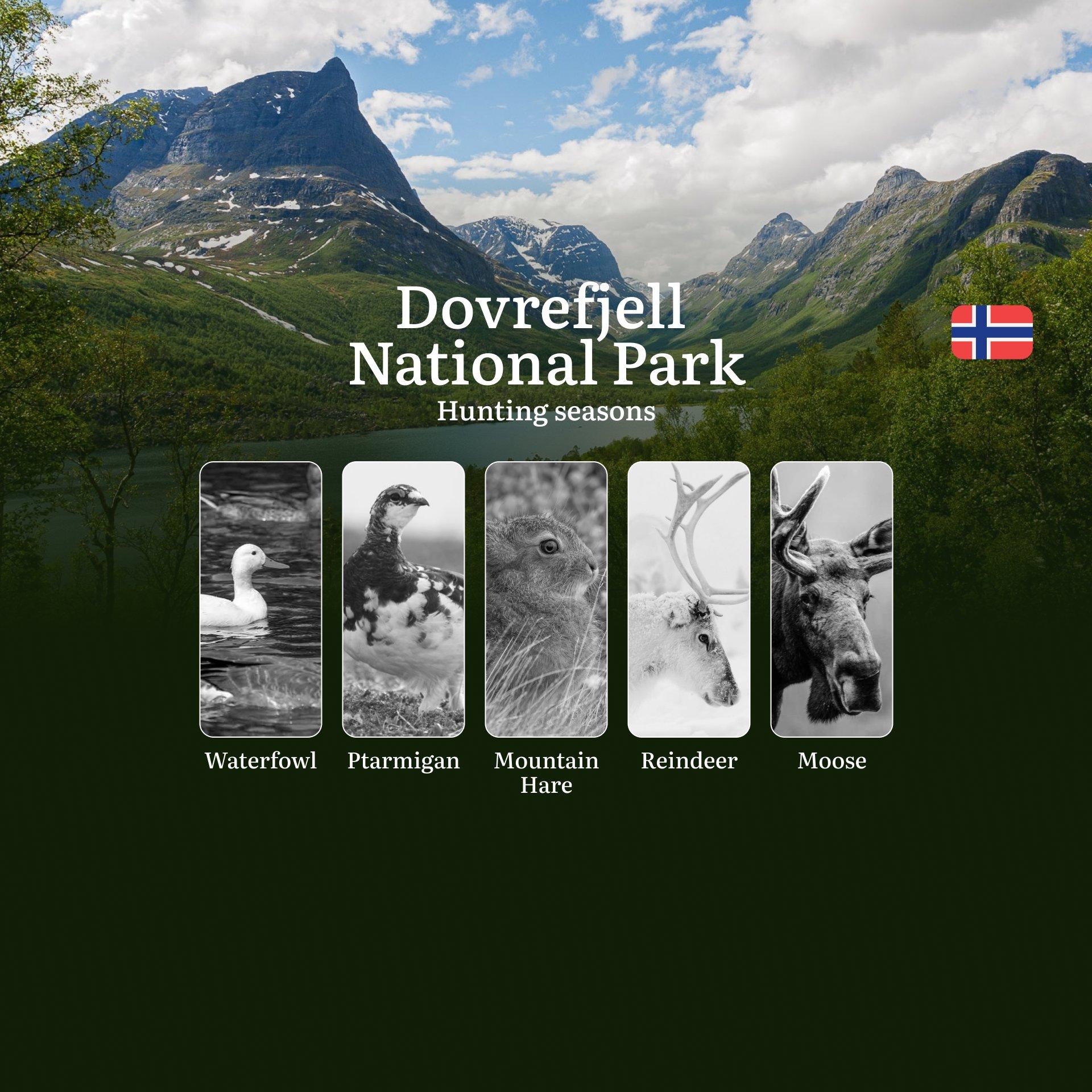 Hunting Dates in Dovrefjell National Park: Seasonality of Hunting, Timing and Regulations, Hunting Permits, Restrictions and Prohibitions
