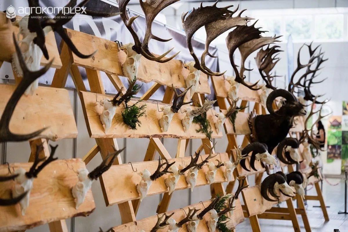 Hunting, Fishing, and Beekeeping 2025