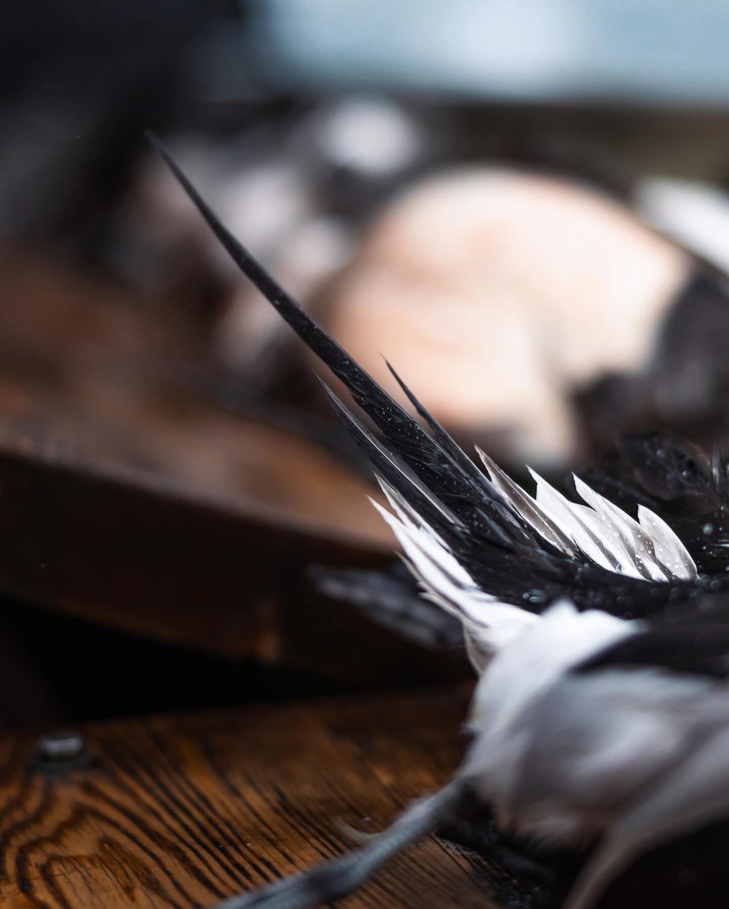 On the windswept waters of Lake Michigan, hunting sea ducks and Old Squaw (long-tailed ducks) has been a test of grit for generations.