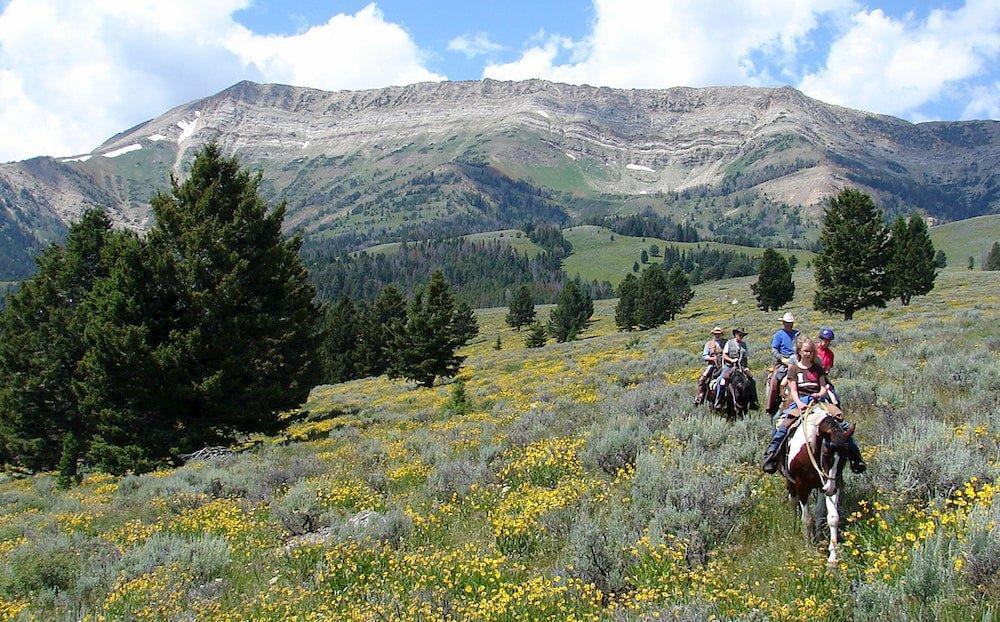Broken Arrow Lodge—Alder, MT