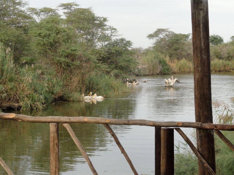 SHOOTING EXPEDITIONS SENEGAL , WEST AFRICA 