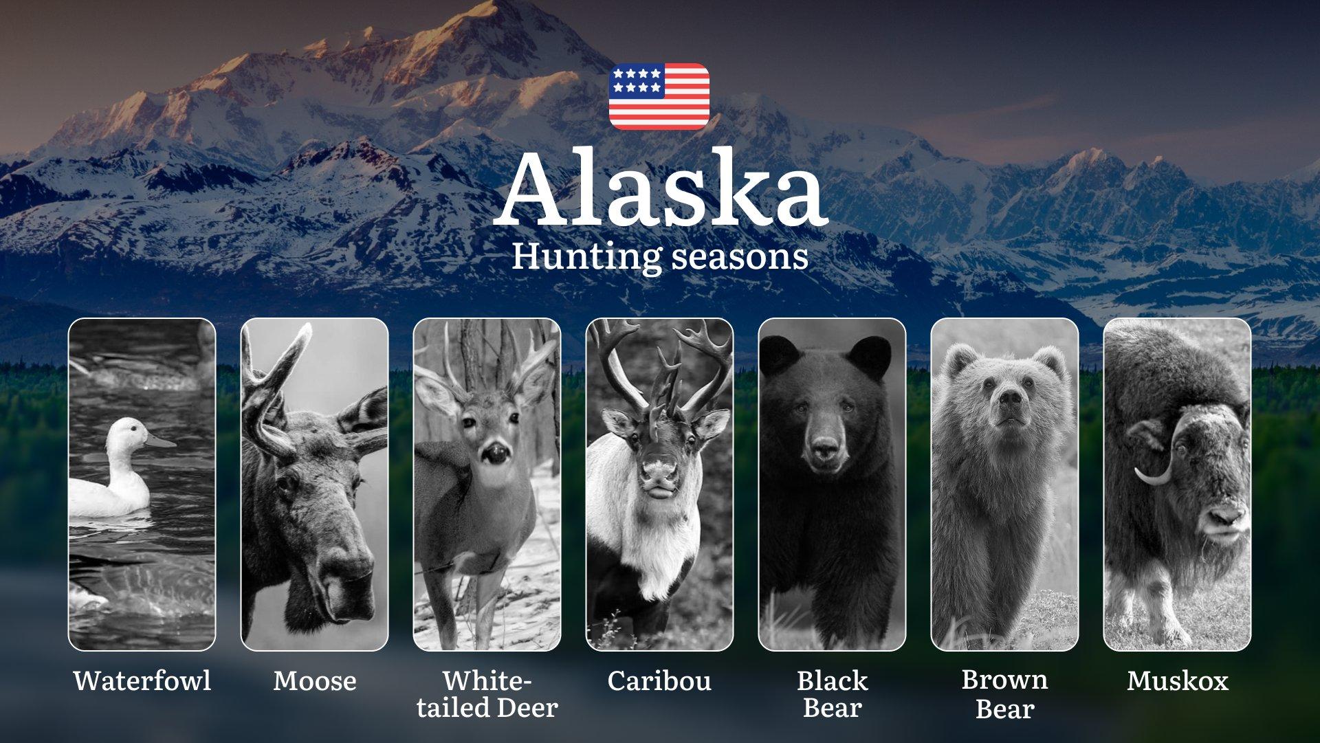 Hunting Seasons in Alaska: Timing, Regulations, Permits and Tactics, Documents and Support from Organizations