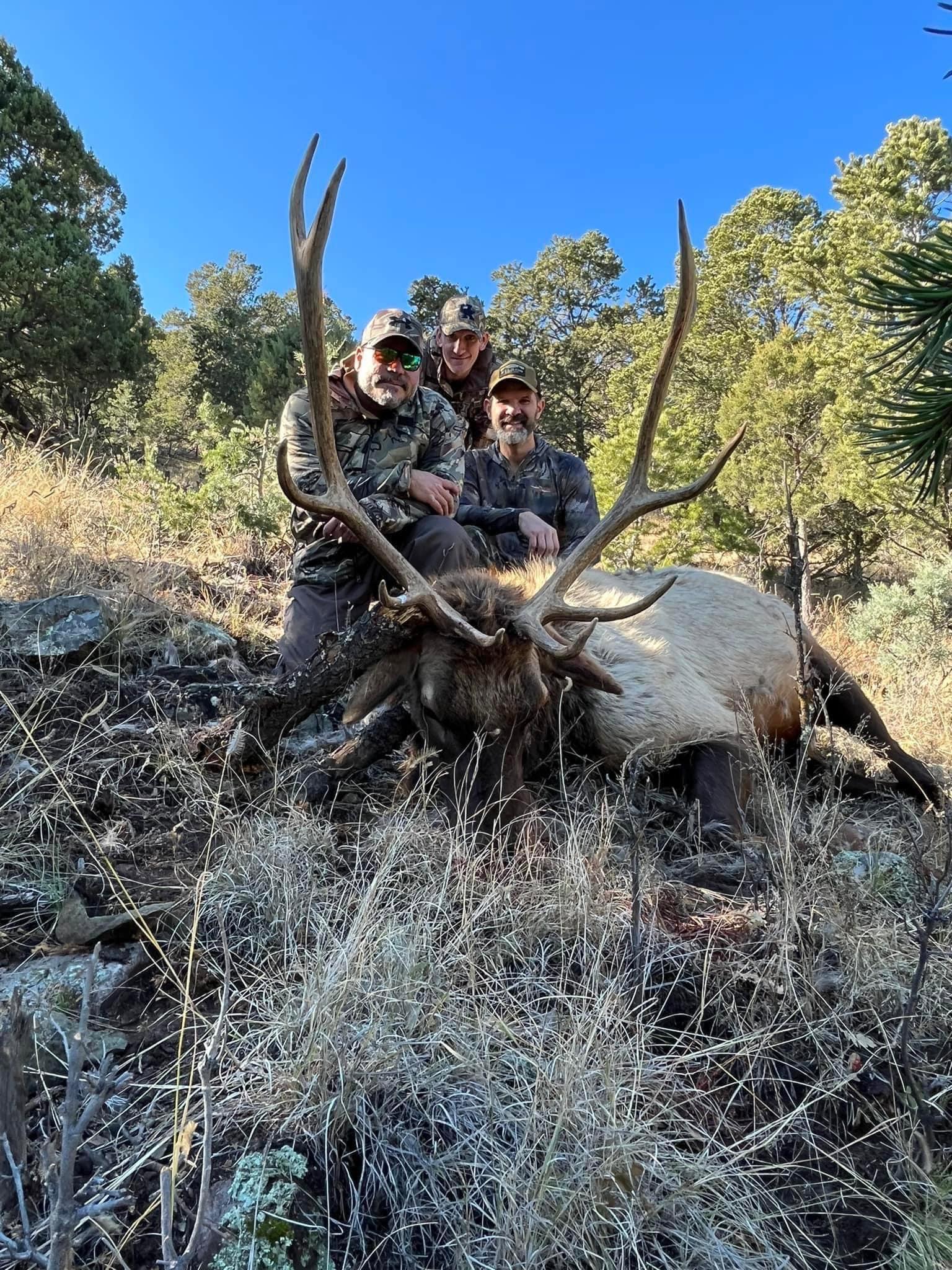 PRIME ELK MANAGEMENT ZONE BULL ELK ARCHERY RUT HUNTS NOW AVAILABLE FOR 2024!!!
