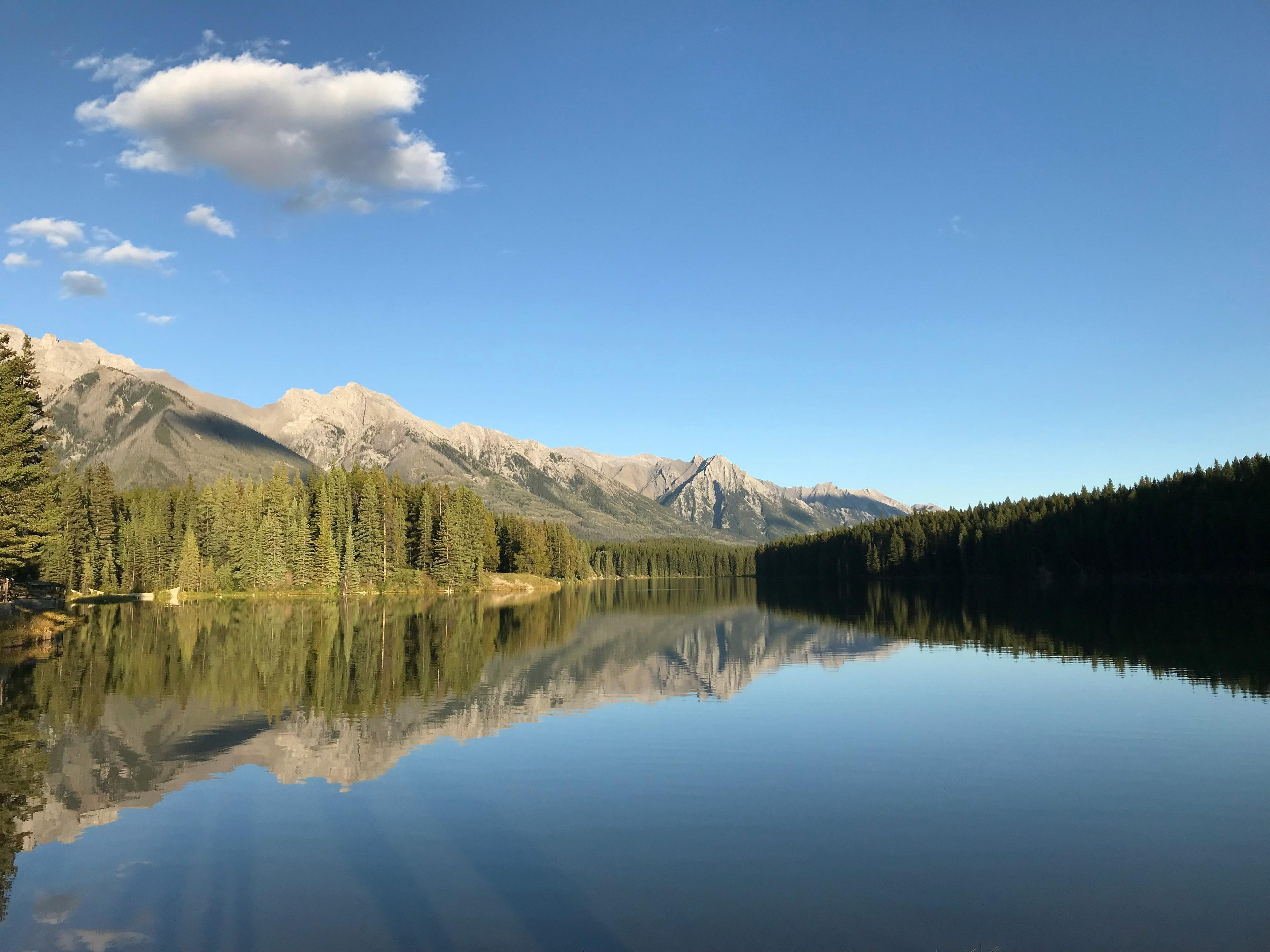Hunting in the CARIBOO Region: Exploring Geographical Characteristics and Hunting Seasons, Laws, Demographics, Associations and Clubs