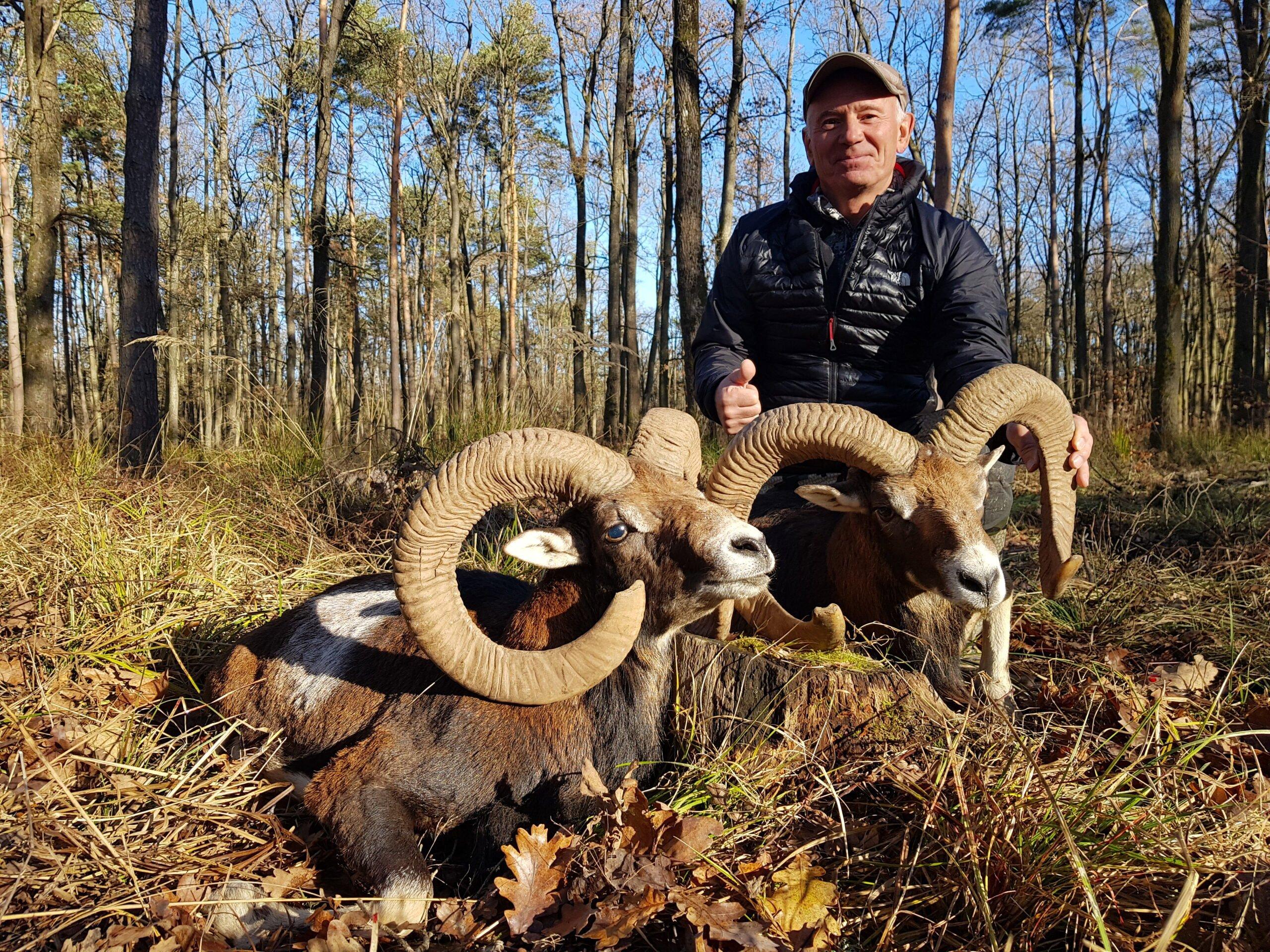 Die Jagd im Raum Graz: Rahmenbedingungen, Anwendung, Struktur, Wildtierpopulationen, Zeiträume, Organisationen, Traditionen, Details         