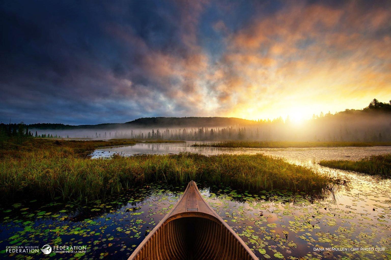 Winners of the 2024 Reflections of Nature Photo Contest.
