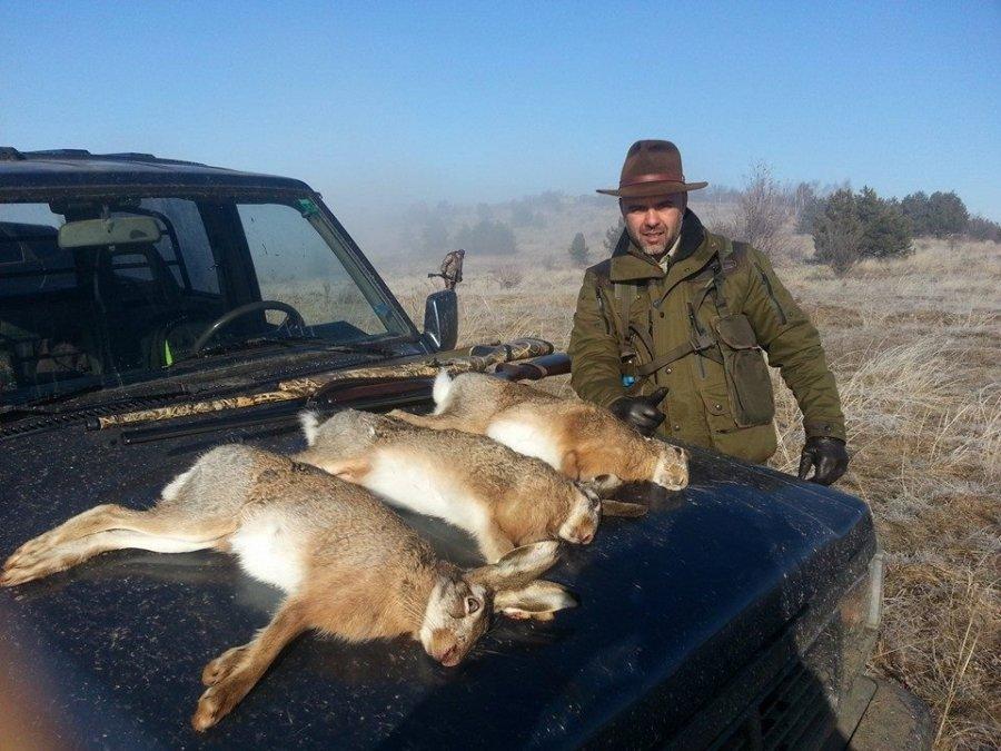 WHAT IS HARE HUNTING?