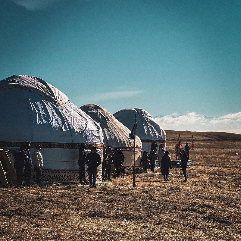 Турнир охоты с ловчими птицами.