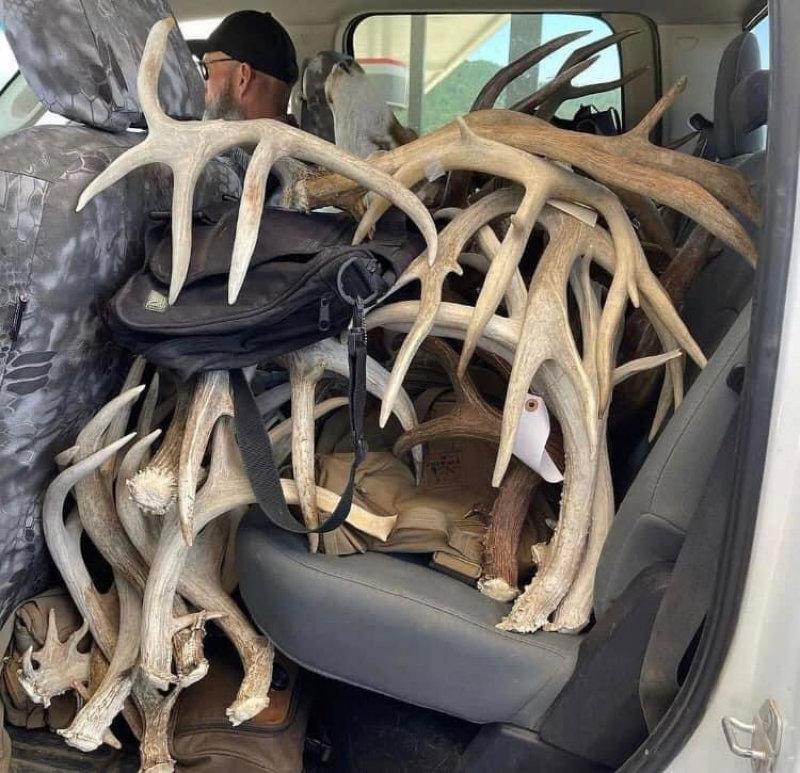 If you want all the Deer spins ,  I can do that.