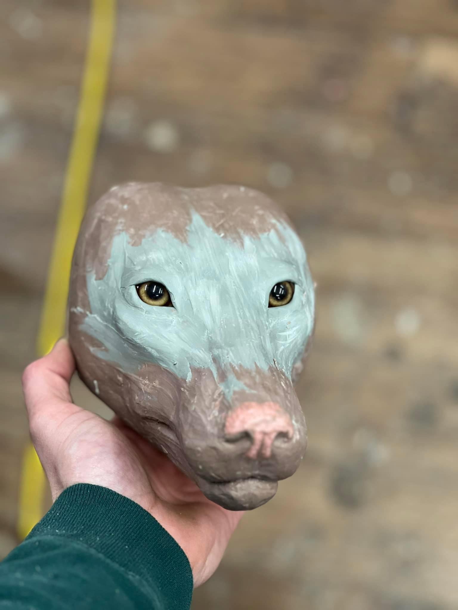 Client shot an over a 50 lb coyote so i wanted to try and sculpt a head for it.