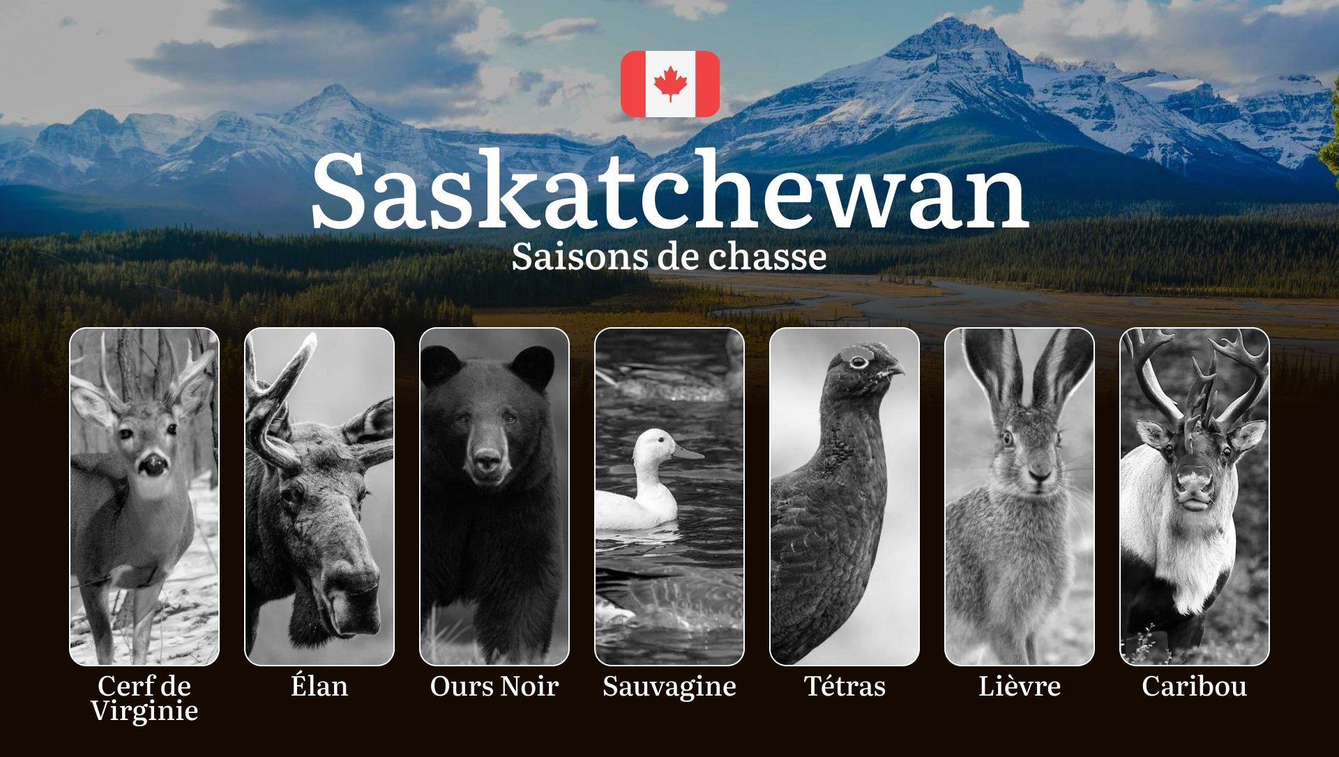 Les Périodes de Chasse en SASKATCHEWAN (Canada): Découvrez les Saisons Clés, Maîtrisez les Règles et Profitez des Meilleurs Moments pour des Aventures de Chasse Inoubliables