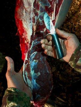 Finished up my last day of deer season with a spike point in the final legal minutes of legal light.