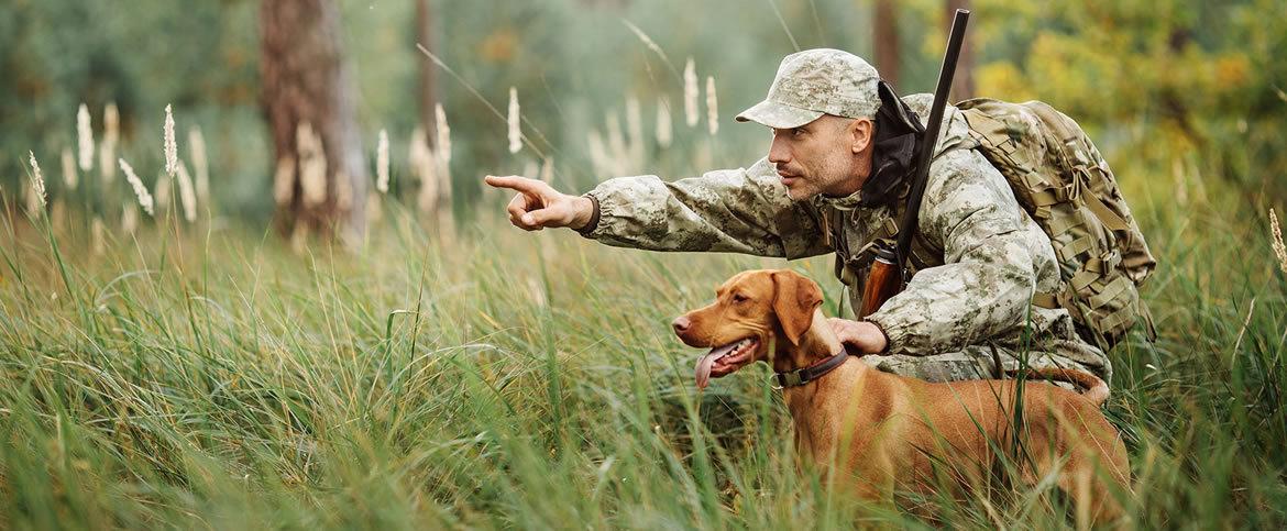 🐕🌿 Лов са животињама помагачима - сарадња на добробит обојице!