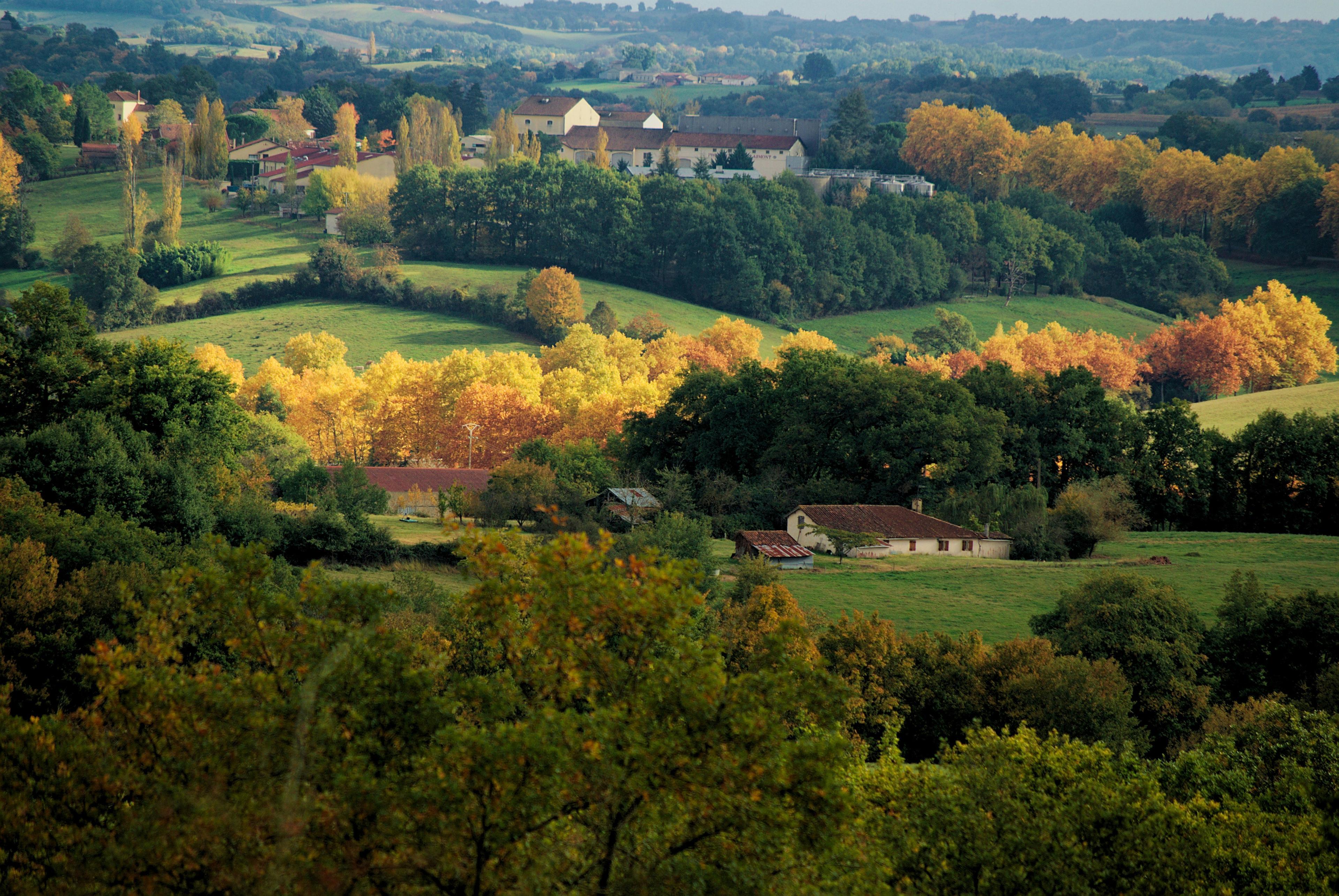 Chasse en GASCOGNE: Géographie diversifiée, traditions locales, législation cynégétique et gibier typique