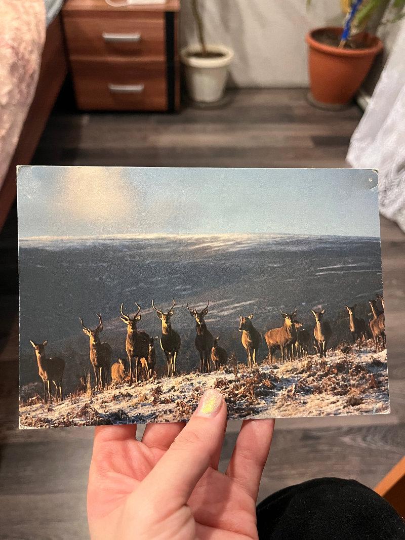 postcards
