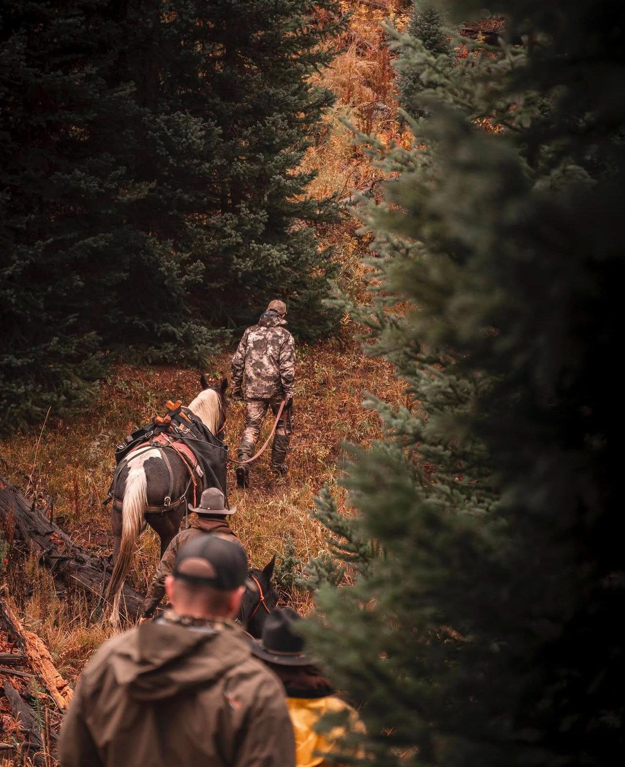Hunting season 2025 -2026 and bag limits in Pennsylvania