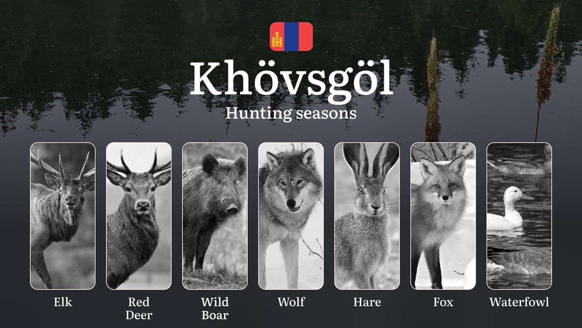 Khövsgöl Province: Hunting Seasons and Timing, Regulations and Licensing, Required Documents and Procedures, Tips for Hunters