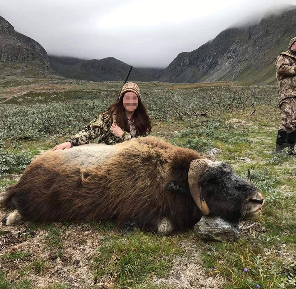 Go on a hunt in South Greenland.