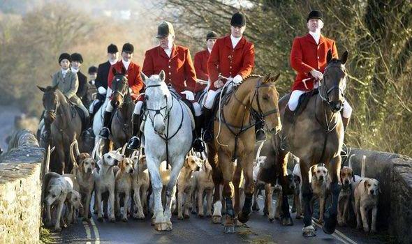 Fox Hunting in Britain