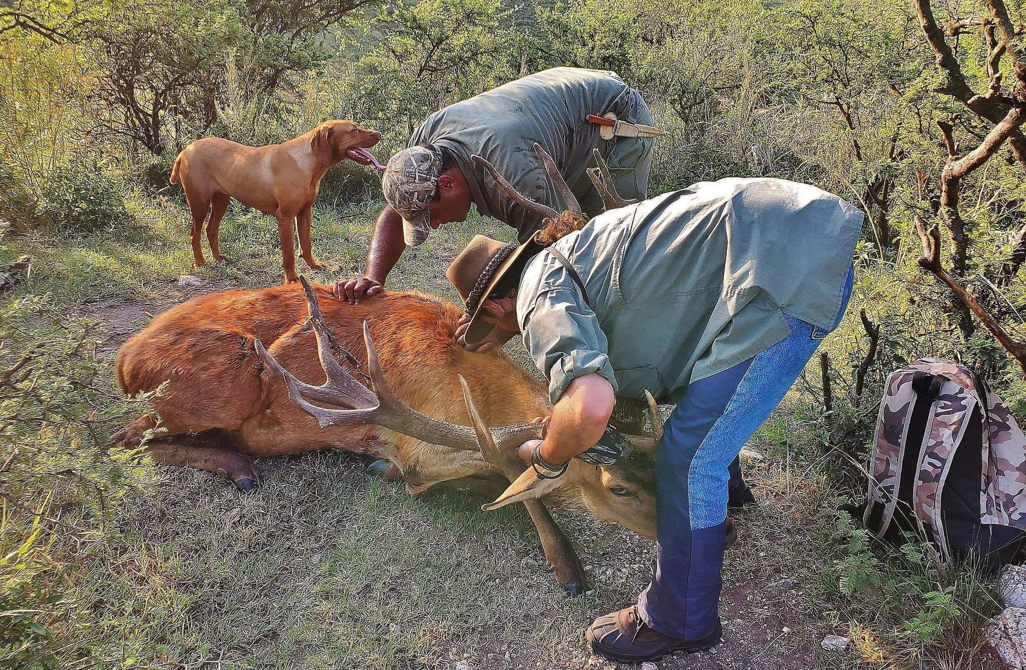 The most beautiful place for Red Deer and Water Buffalo hunt, thick scrub and streams accompany the mountainous landscape of this area.