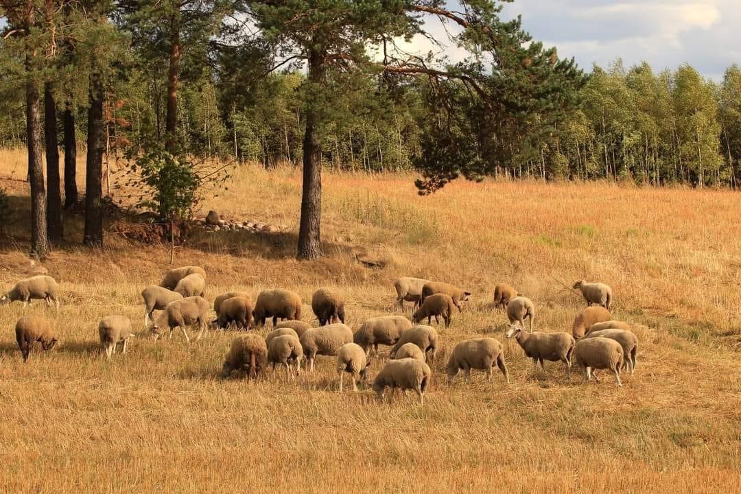 This is Heaven on earth in Poland.