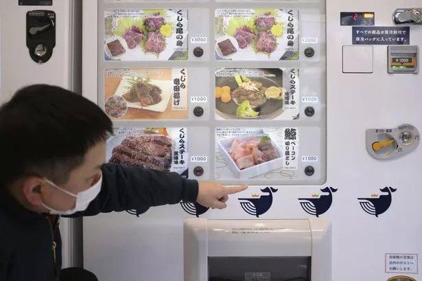 Whale meat vending machine business continues boom in Japan