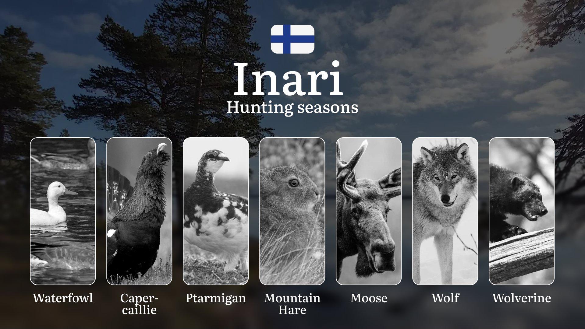 Hunting Seasons in INARI: Mandatory Licenses, General Regulations, Optimal Hunting Periods, Restrictions & Key Season Rules