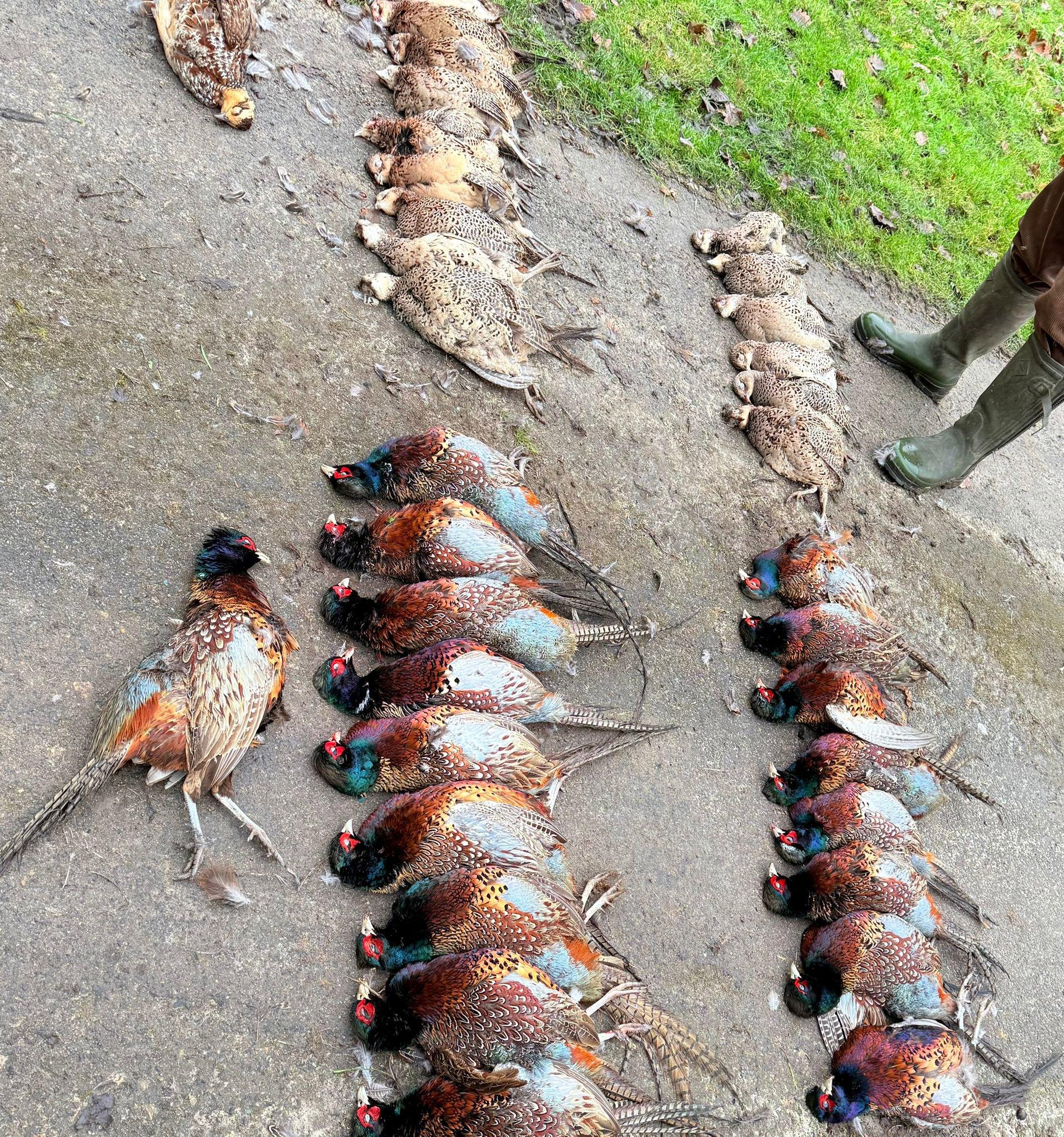 L'ART DES TABLEAUX DE CHASSE ET ANNECDOTES DES GRAND DE CE MONDE ; 