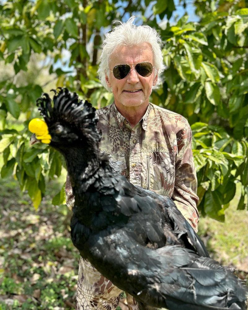 The Great Curassow found in the jungle on the Yucatán Peninsula of Mexico!