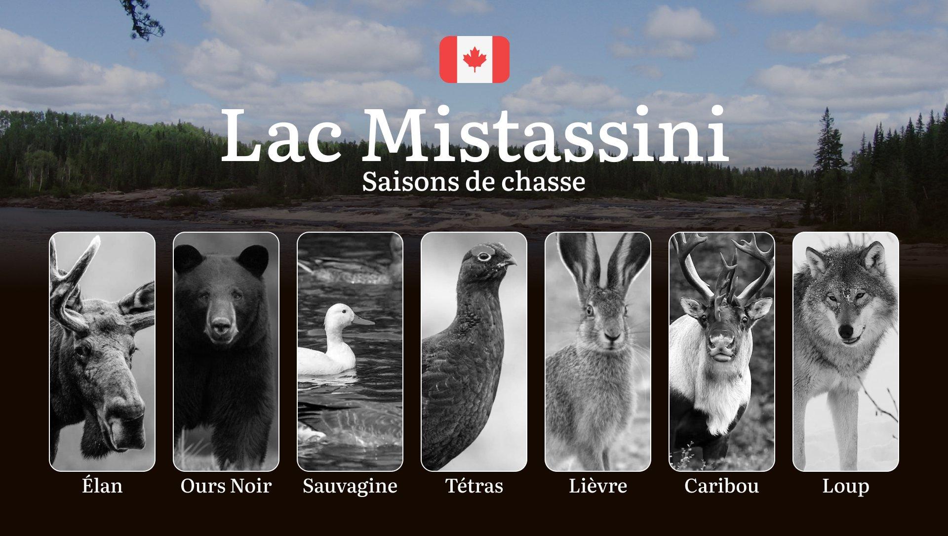 Les Saisons de Chasse au LAC MISTASSINI: Règles incontournables, Périodes Clés et Conseils 