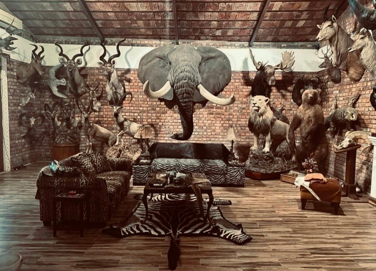 Navigating Trophy Hunting in Africa: Species, Regulations, and Conservation Impact