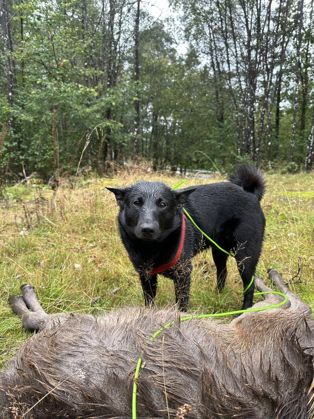 Proud little fella.