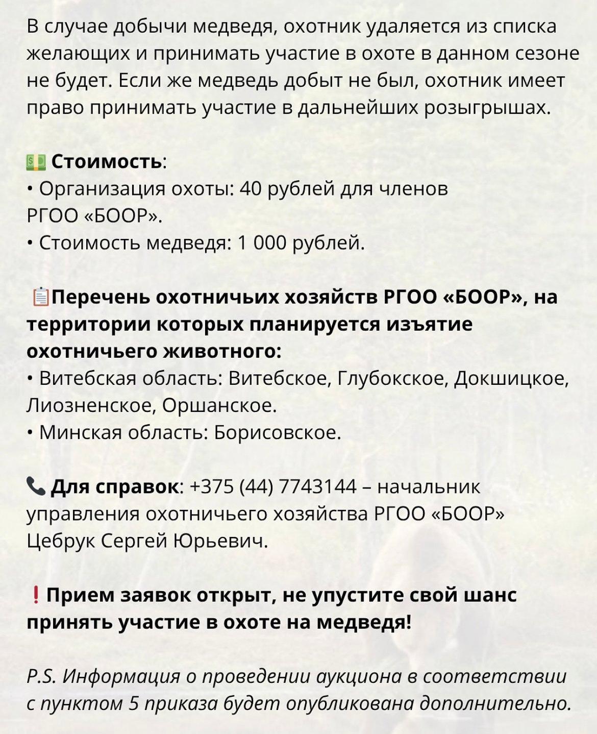 Организация охоты на МЕДВЕДЯ