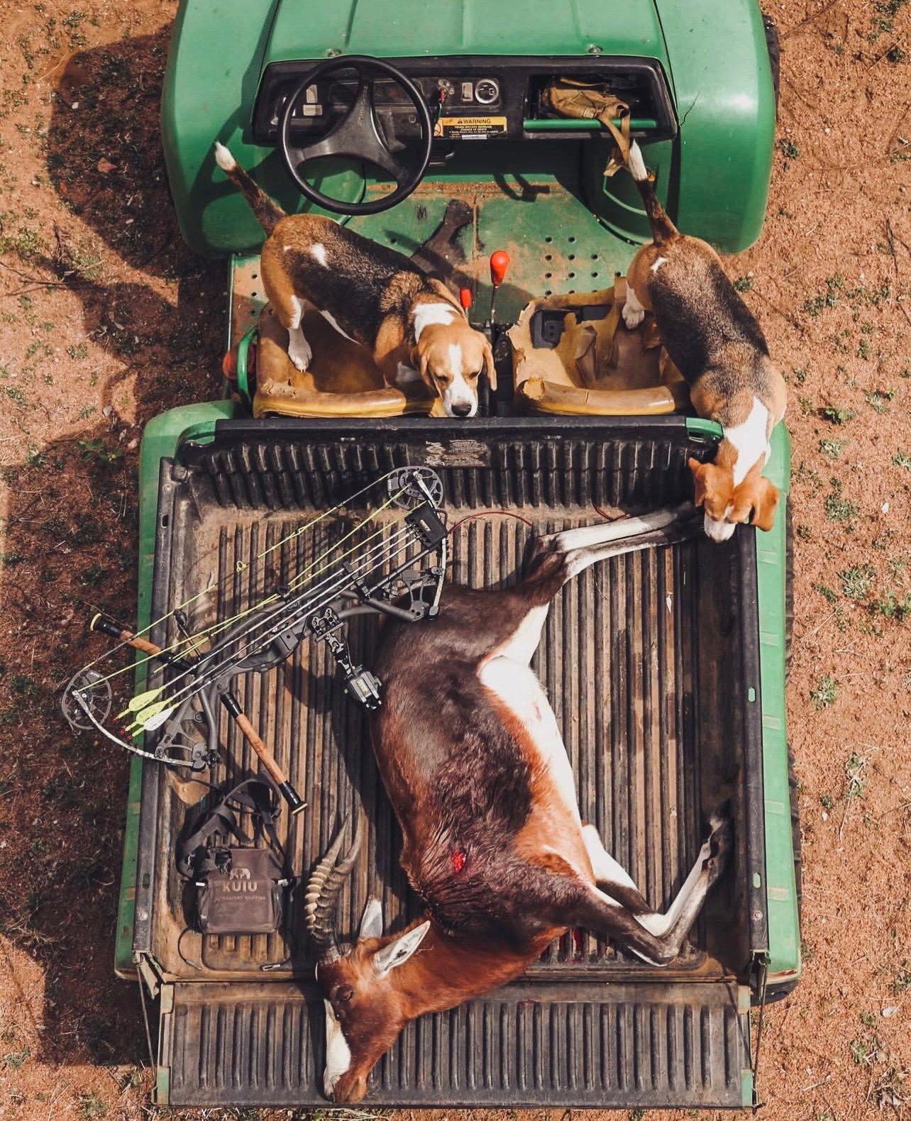 Bow Hunting Africa: A Hunter's Guide to Planning Your Trip