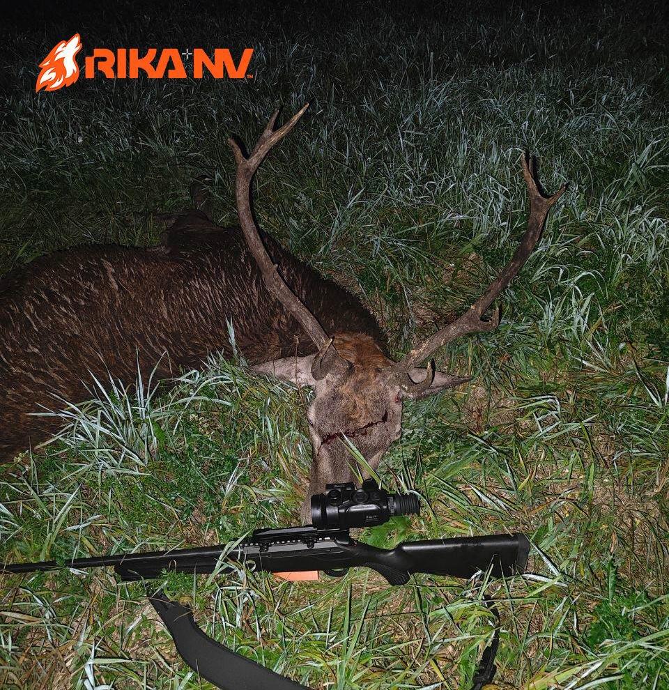🦌🇧🇾Rezultati jučerašnjeg lova od Olega u zemljama Bjelorusije!