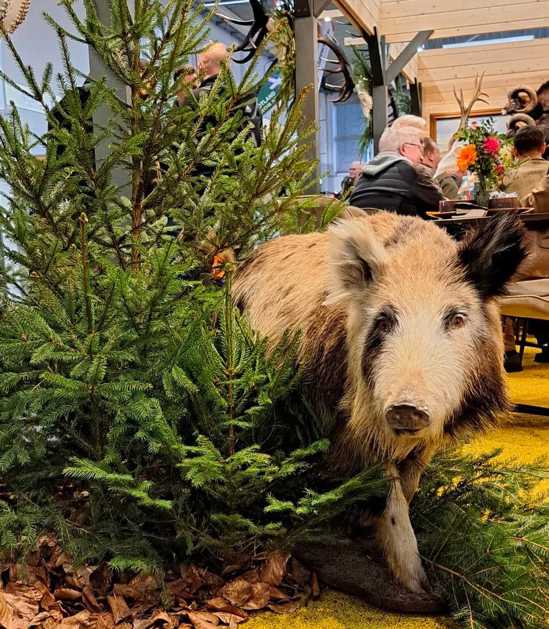Jagd & Hund Exhibition in Dortmund, Germany