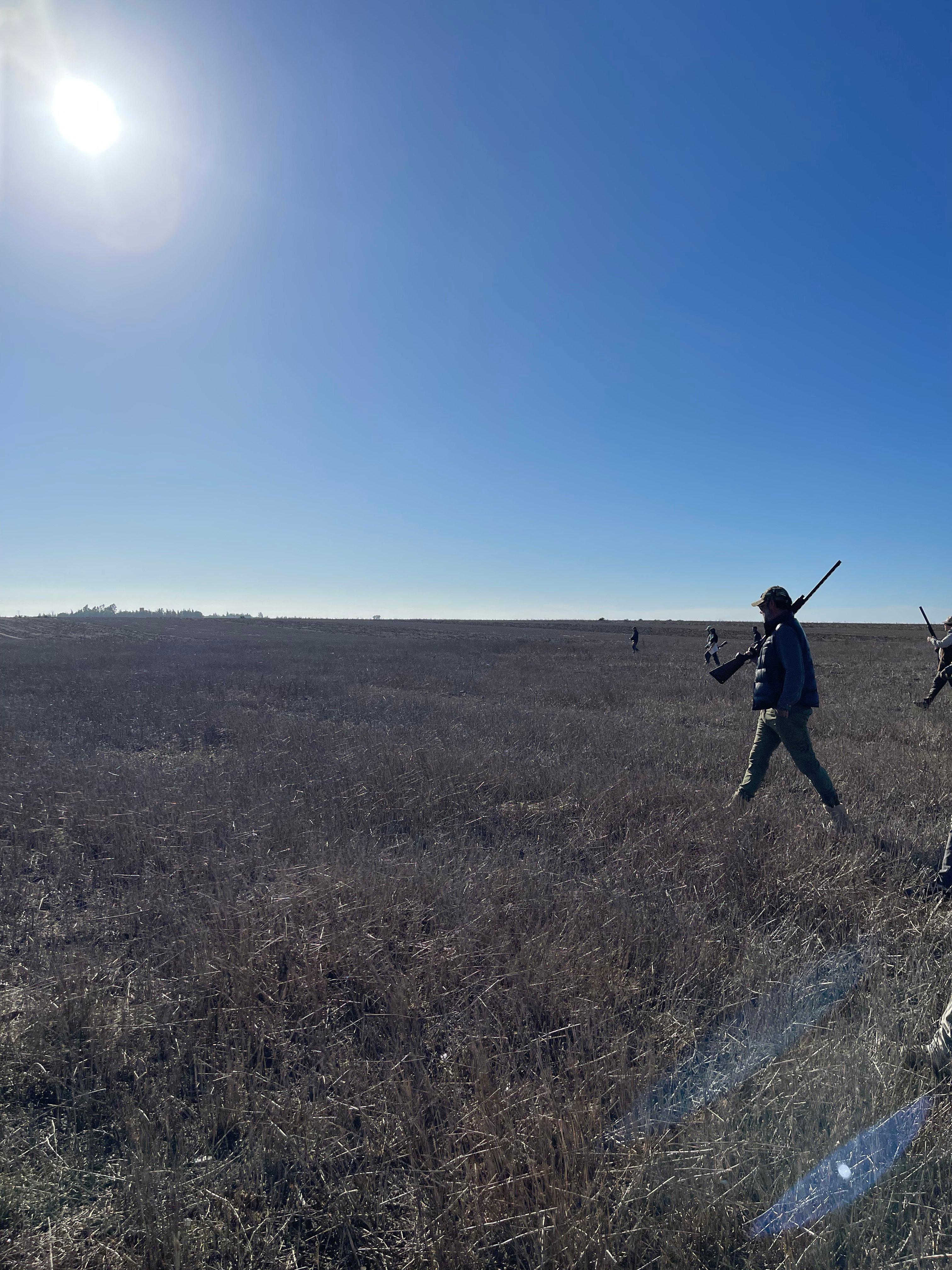 Woodcock Hunting Methods in Morocco: Field-Tested Techniques for Real Bird Hunters 🪶