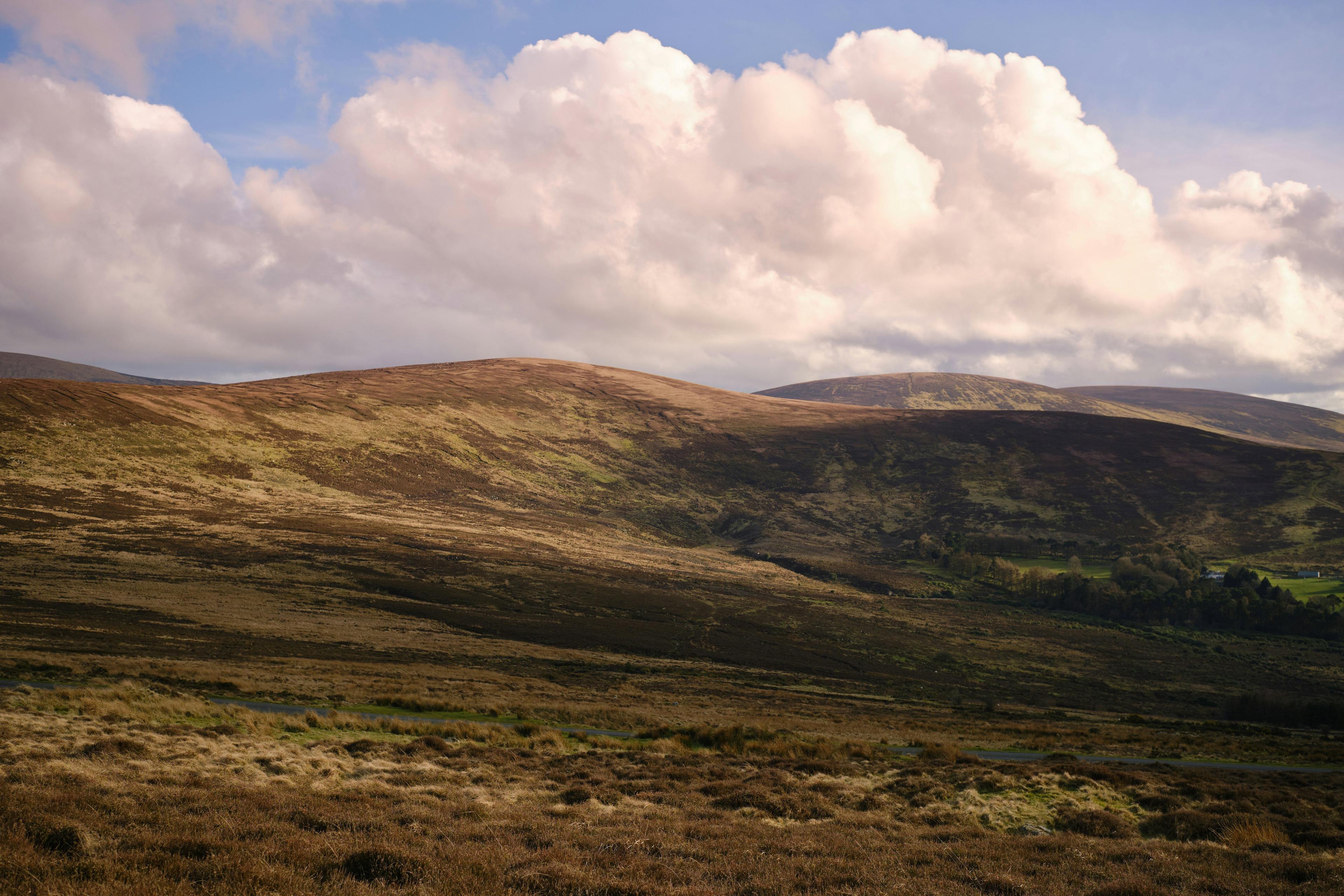 Kerry Red Deer Hunting in Munster, Ireland: The Best Hunter's Guide about Seasons.
