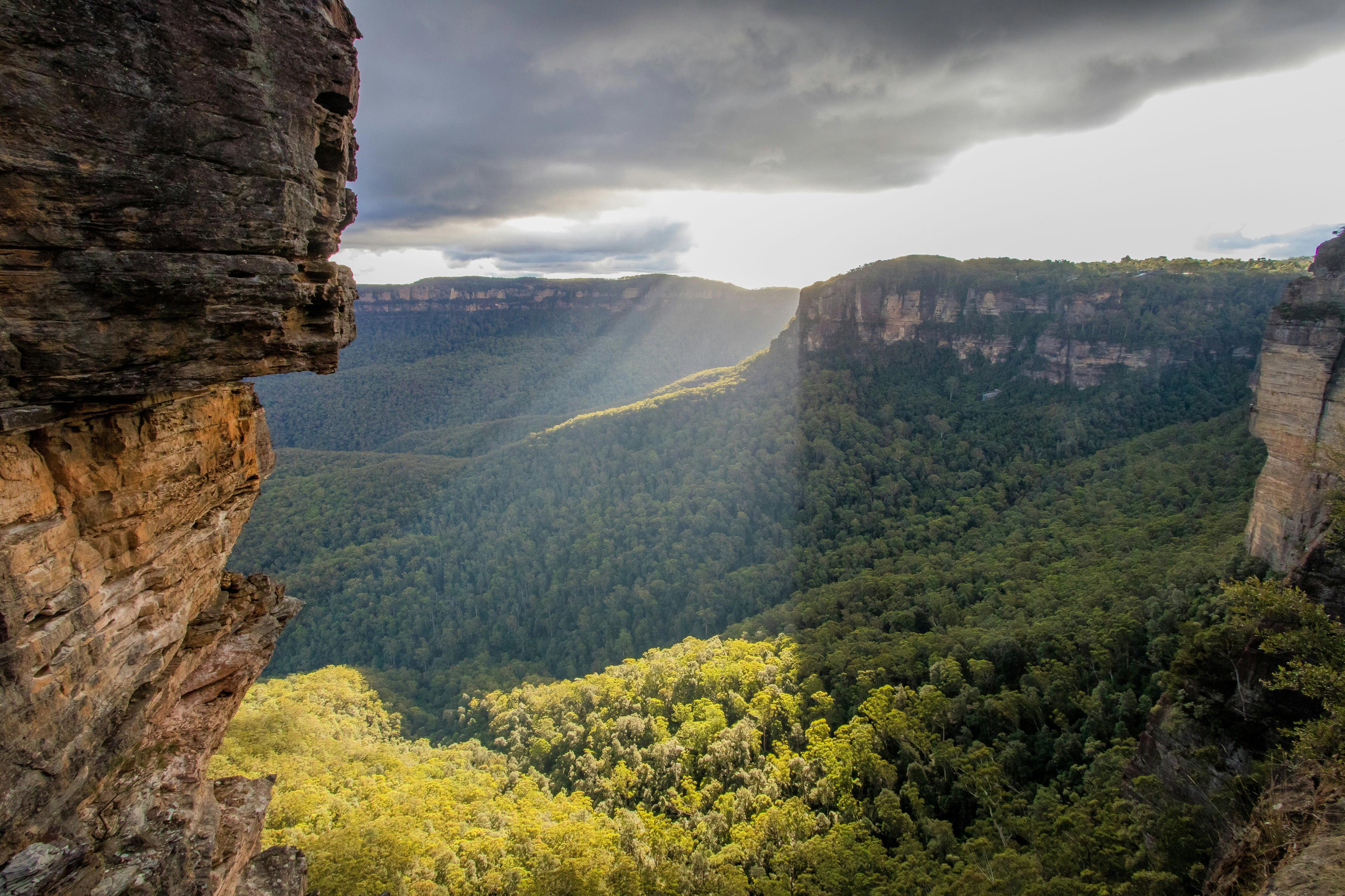 Robert Borsak Tables New Hunting Bill in NSW: More Land, Better Opportunities for Conservation and Community