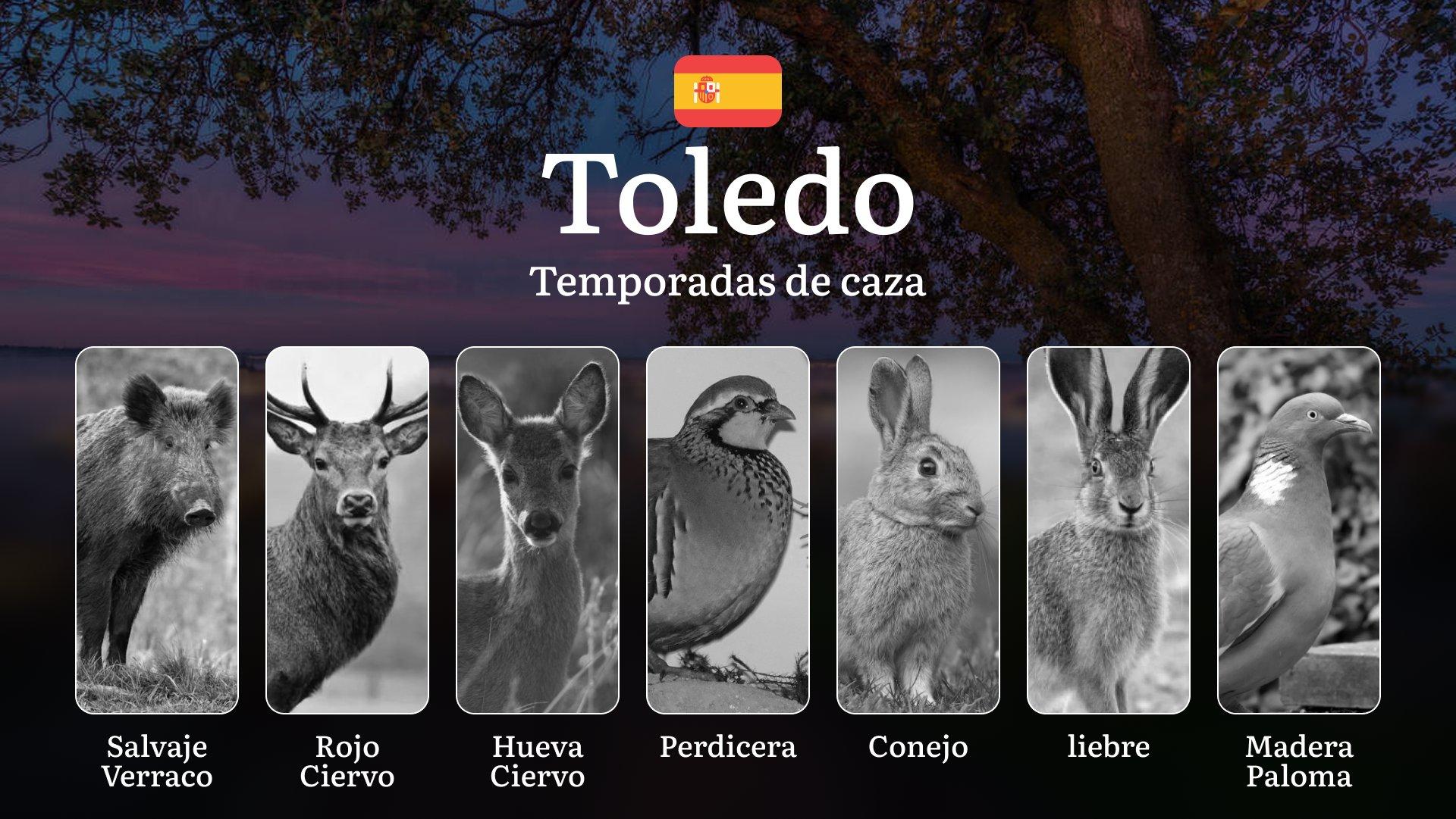 Fechas de Caza en TOLEDO: Temporadas y períodos de caza, Licencias, Prohibiciones y Consejos para Cazadores
