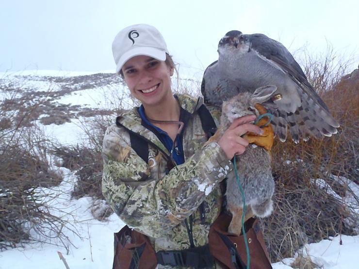 Hunting with Hawks