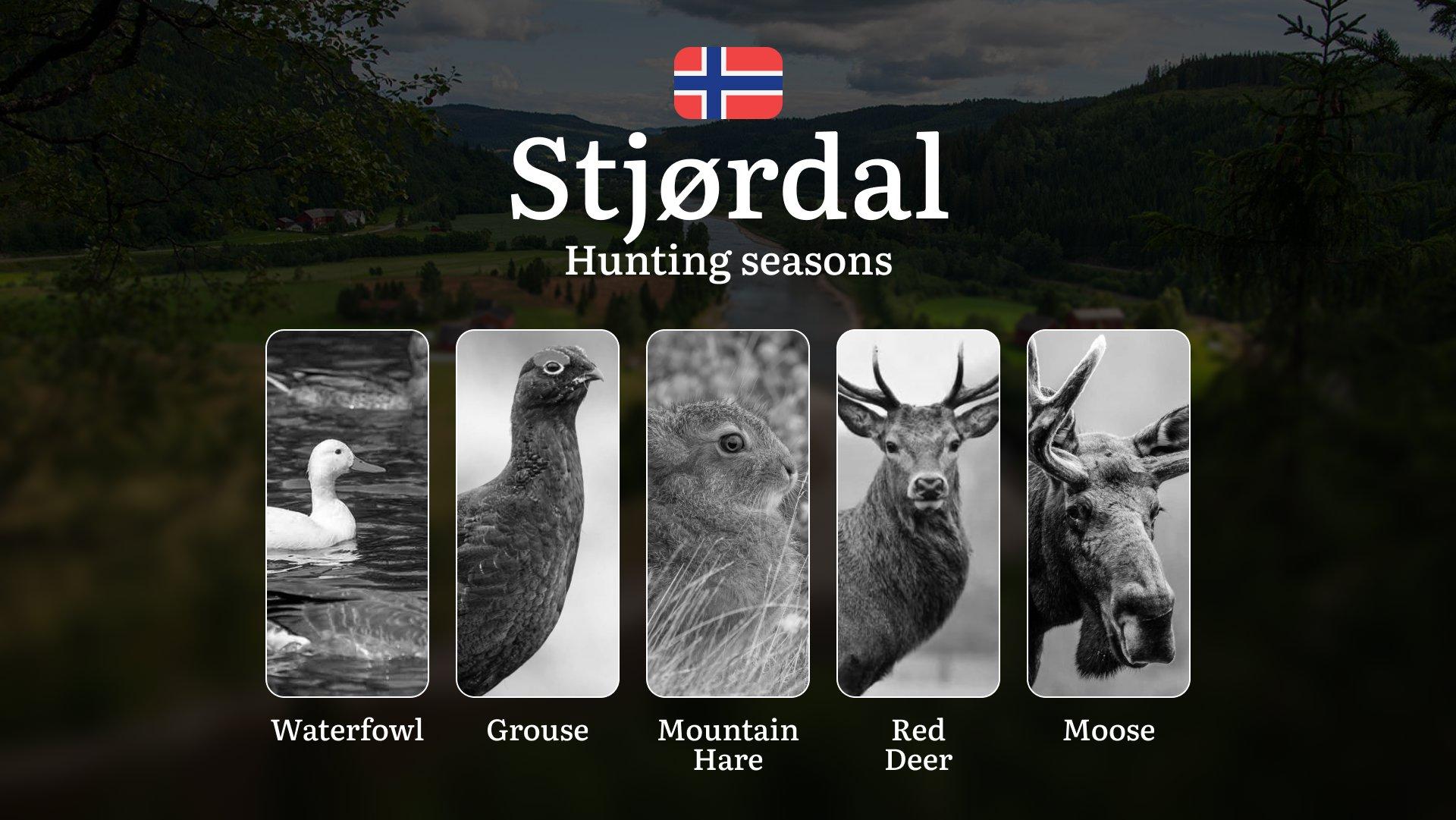 Hunting Seasons in Stjørdal: Regulations, Permits, and Time for Hunting, Documents and Organizations