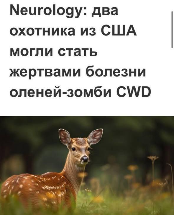 Люди впервые стали жертвами вируса оленей-зомби.