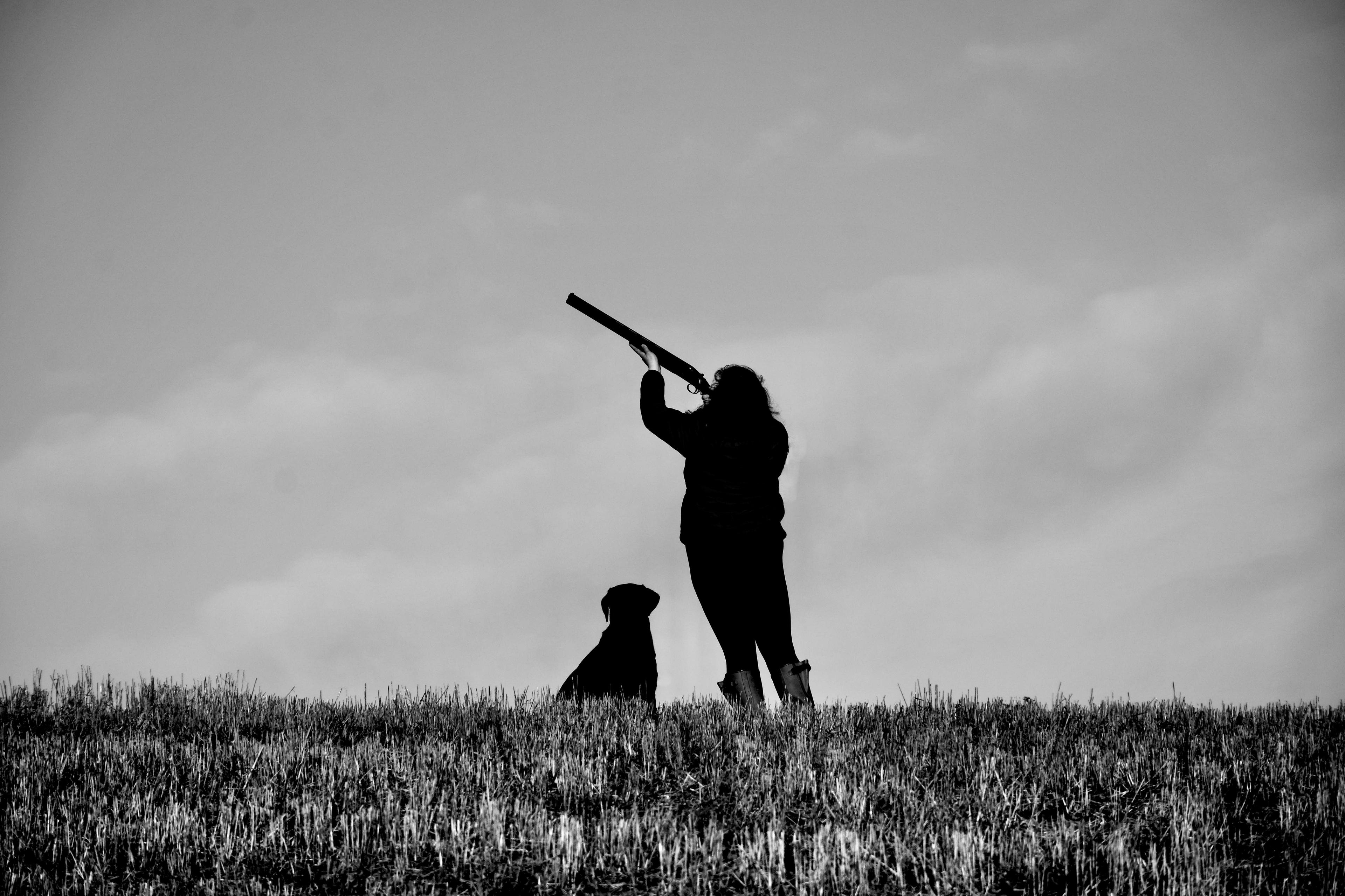 Hunting in Hampshire, England: hunters and demographics of the region, types of hunting and hunting animals, hunting legislation