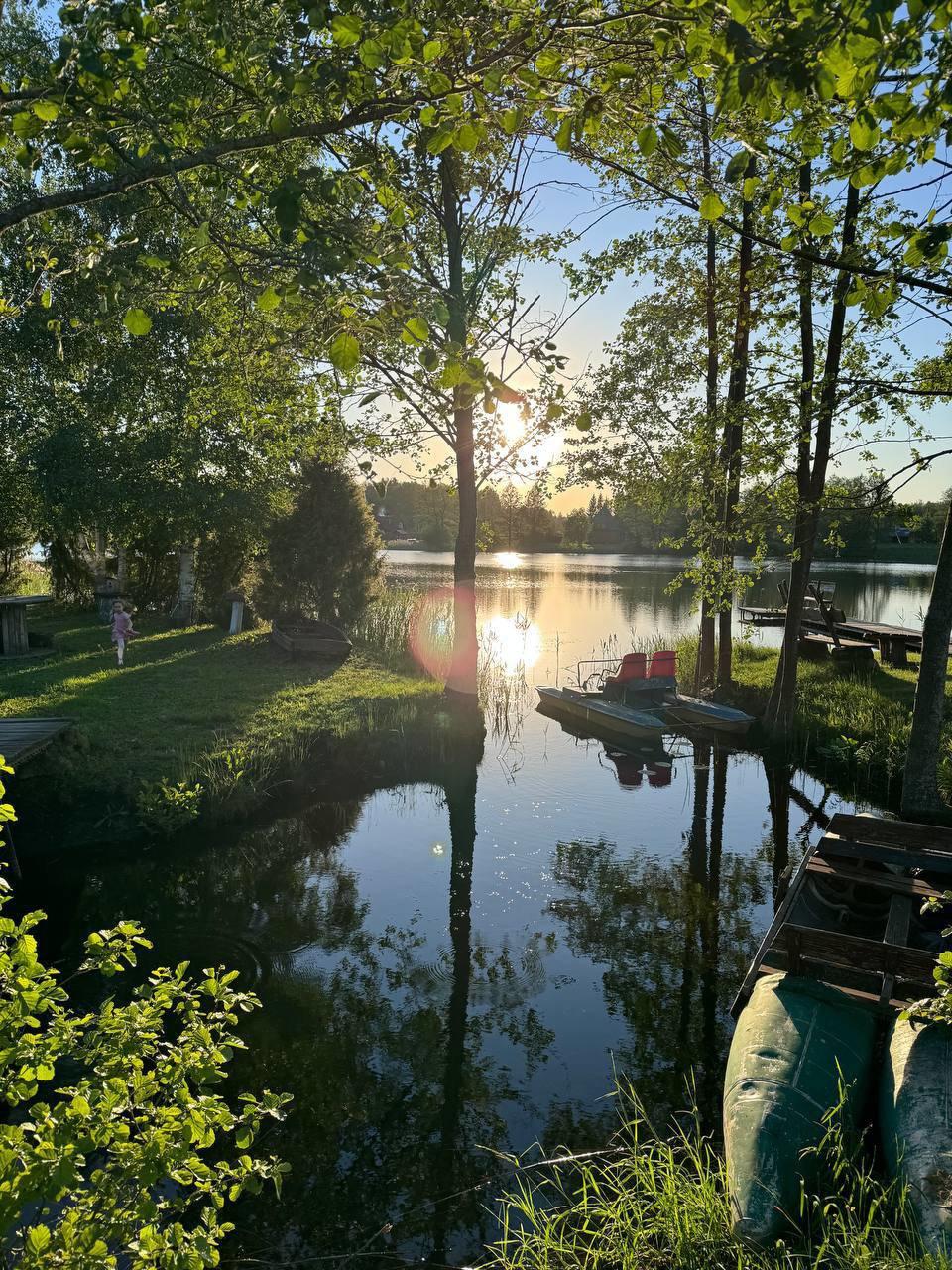 Dobro jutro svima ☀️🐺