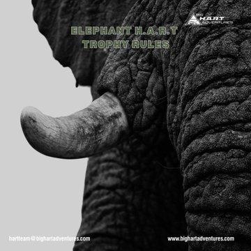 With Pete's first Elephant H.A.R.T hunt around the corner, it is important to understand the rules of a successful H.A.R.T hunt.
