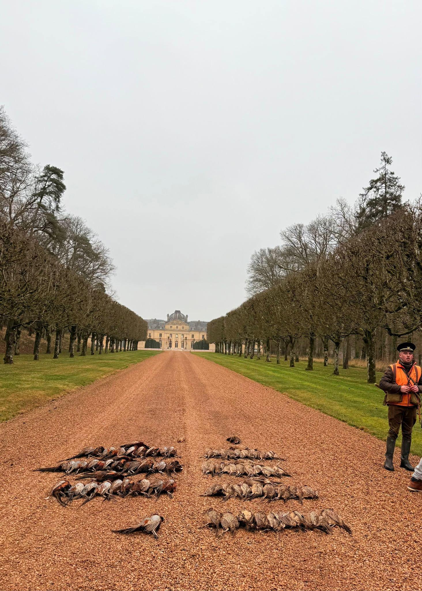 L'ART DES TABLEAUX DE CHASSE ET ANNECDOTES DES GRAND DE CE MONDE ; 