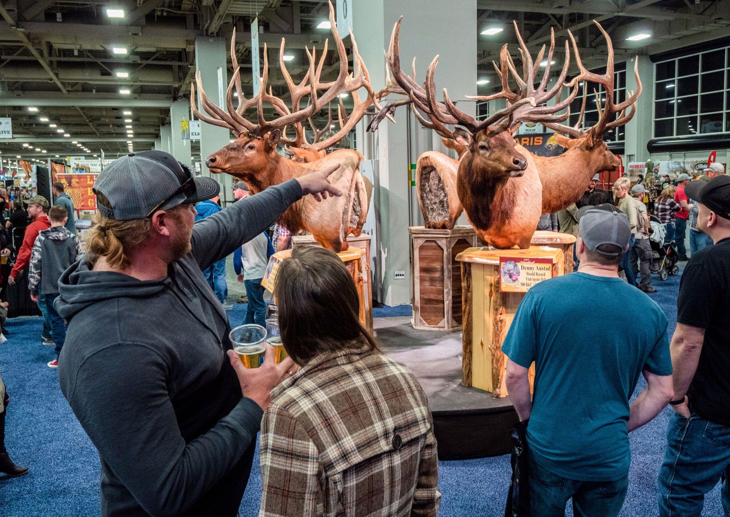 2022 – INTERNATIONAL HUNTING SHOWS