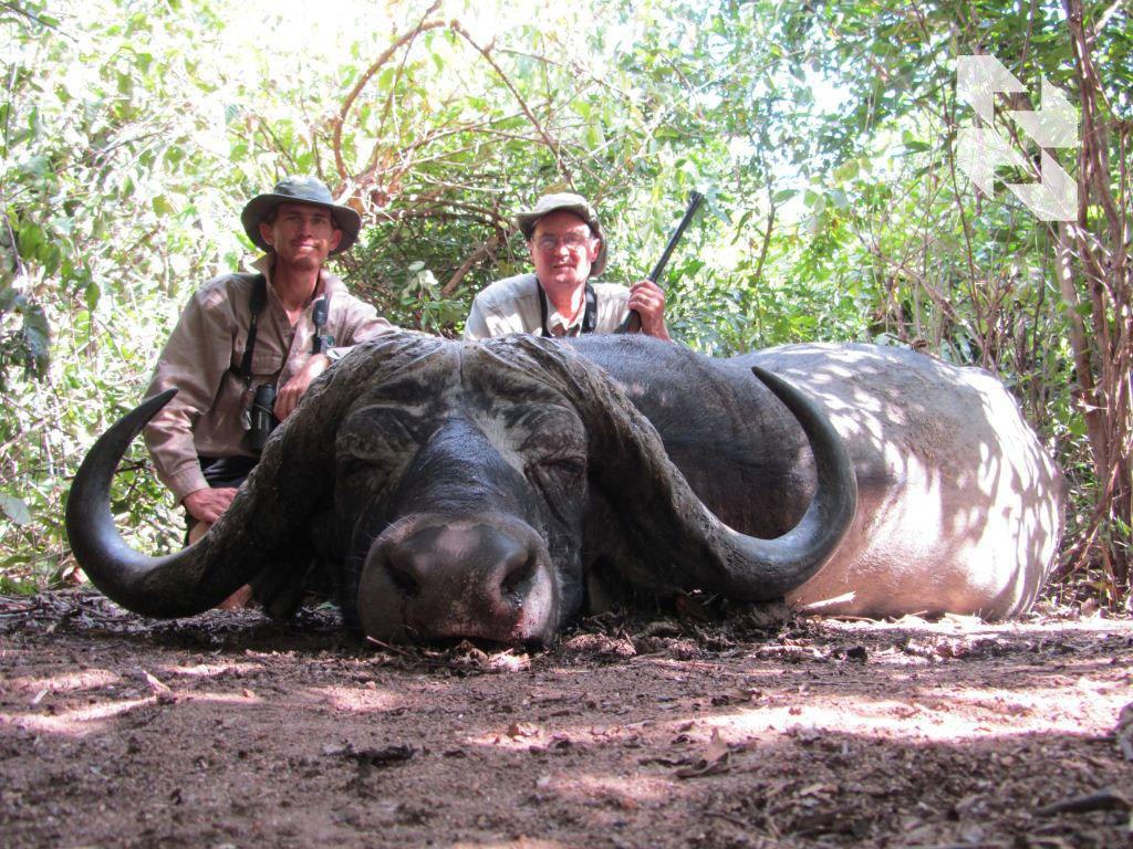 We are opening new hunting areas